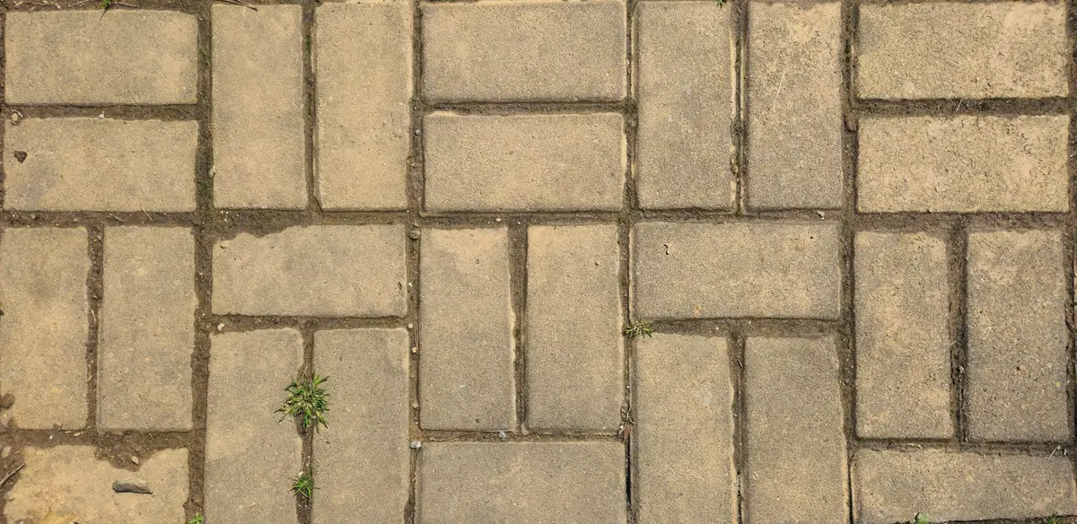 Grey pavers with small weeds growing in the joints